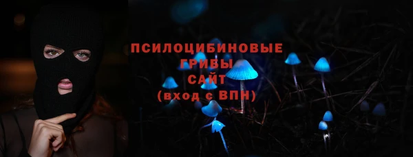 спиды Инта